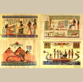 Assorted Set of Small Papyrus